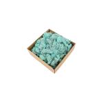 Eternal Moss Wall Decor , Modern Style Real Natural Moss For Crafts