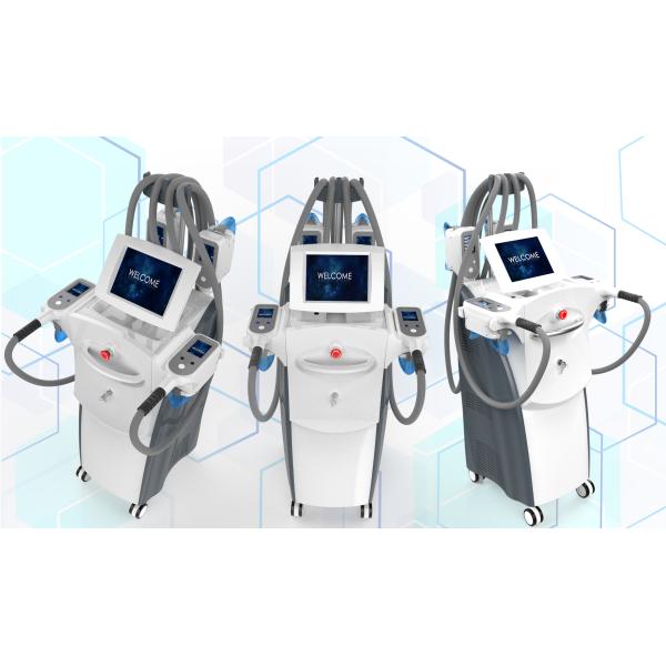 360° Cryolipolysis Fat Freeze Slimming Machine Body Freeze Machine 4 Handpieces