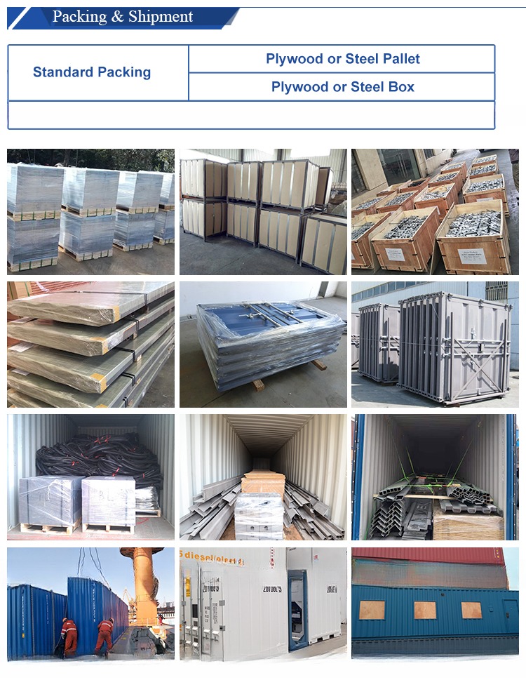 Containerized Power Solutions Dry Container Genset with Noise Reduction and Ventilation Features CSC Certified