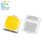 Ultra Bright SMD LED Chip 3030 160lm-180lm 3V 6V White Gold Wire