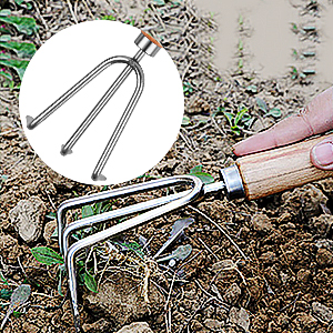 Hand Rake