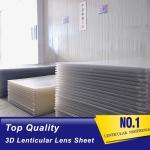 3d 30 lpi lenticular sheets-PS plastic lenticular lens sheet supplier-different