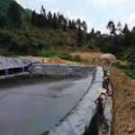 Modern Design HDPE Geomembrane for Landfill Sites Sewage Treatment Plants Fish