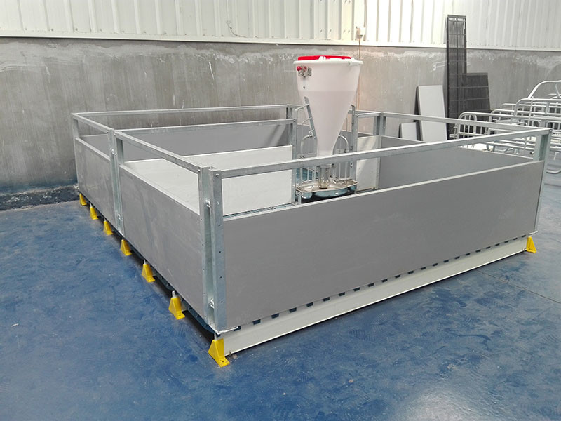 European Style Galvanized 2.4*1.8m Sizes Of a Farrowing Pen Pig Crate Design
