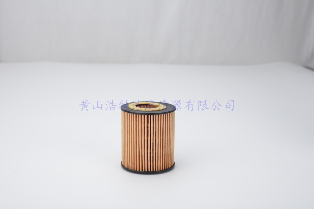OEM 6C1Q-6744-AA Oil Filter Replacement Safe And Realiable For Automobile