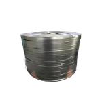 Stainless Steel Strips Belt for 316Ti Steel Grade and Bending Processing Service