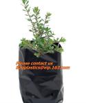 Poly Planter, Grow Bag, garden bags, grow bags, hanging plant bags, planter,