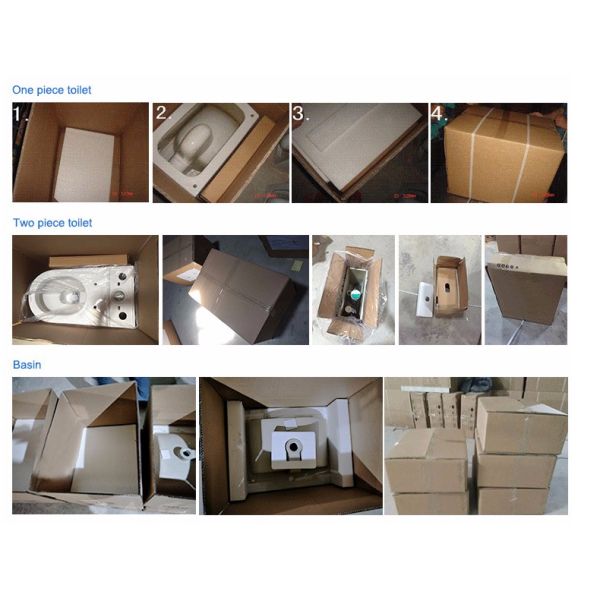 CE European Style Wall Mounted Concealed Tank D Shape Round Ceramic Wall Hung Toilet for Bathroom