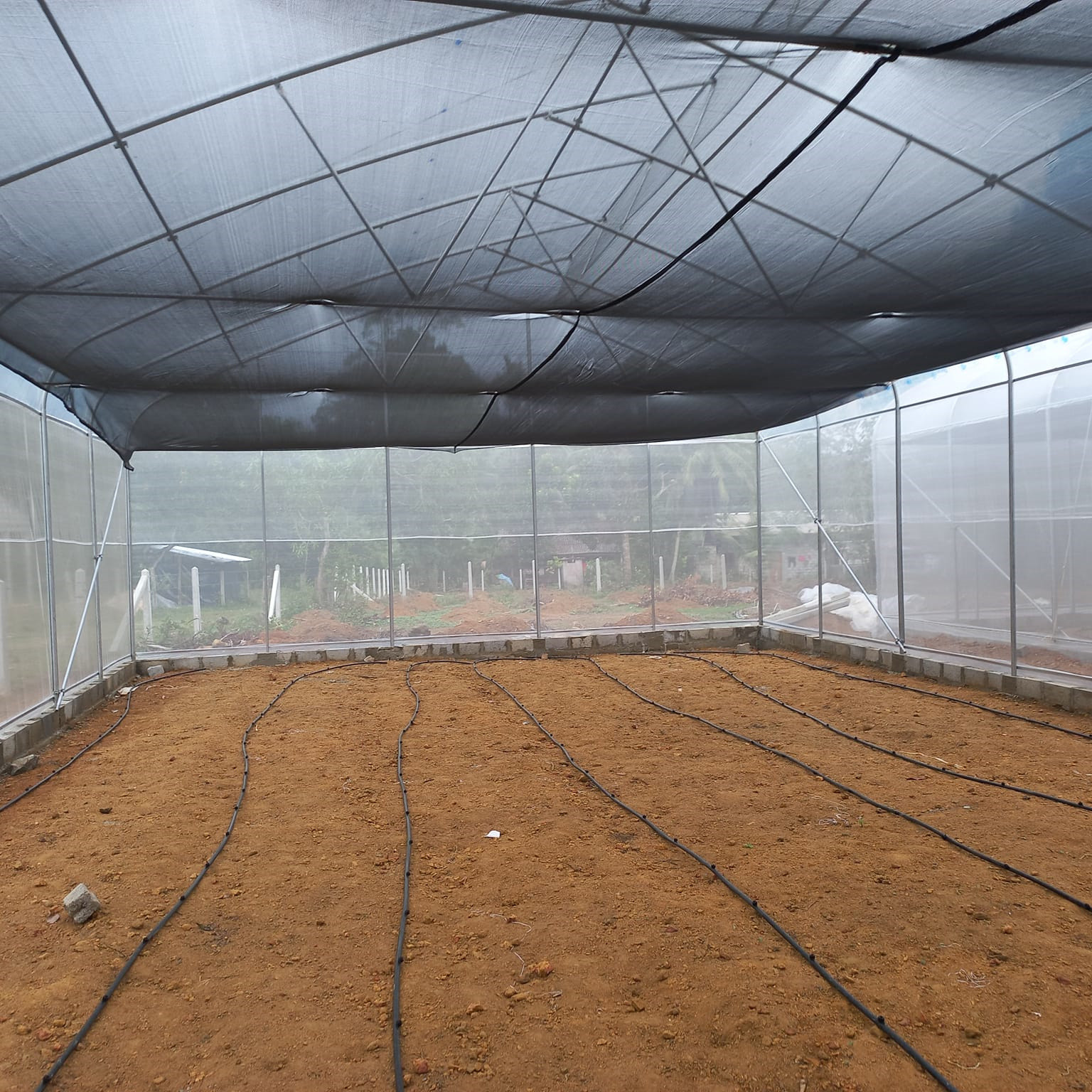 OEM Hydroponic Tunnel Plastic Greenhouse Galvanizing Steel Farm Supply Greenhouse