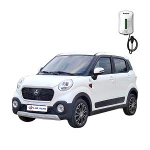 Wholesale Low-Speed Electric Car for Older Person No Driver's License 6 Hour Charging Time from china suppliers