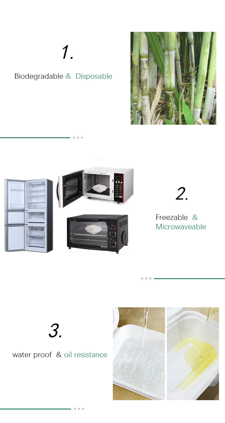 3 Compartment Disposable Cornstarch Meal Tray Disposable Meal Trays 160g