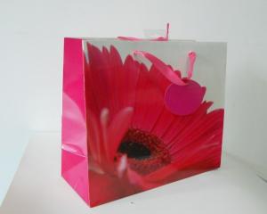 Wholesale durable elegant paper bag for clothes from china suppliers