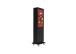 Waterproof 43" Battery Powered LCD Digital Signage Outdoor Kiosk LCD Outdoor