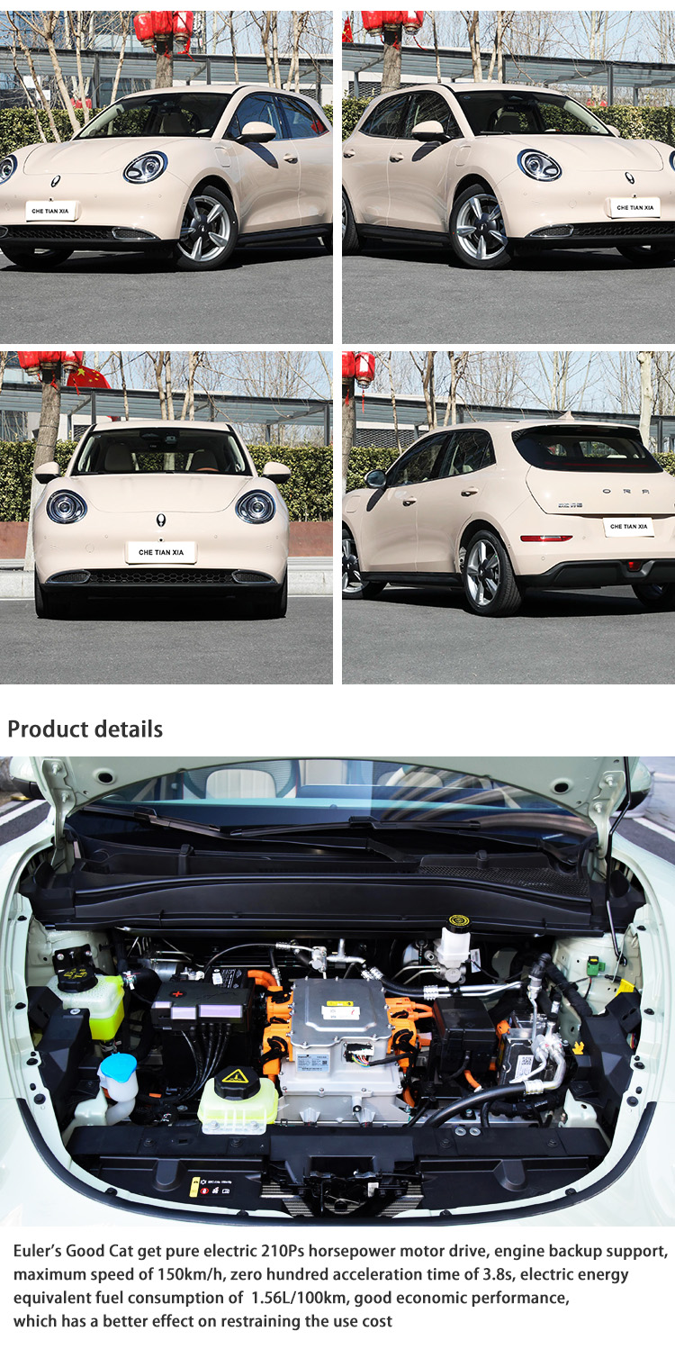 New Energy Mini Sedan Electric Car Vehicle EPS Steering Ora Good Cat