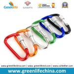 OEM higgh Quality ISO9001 metal aluminum spring snap hook locking carabiner 3/16