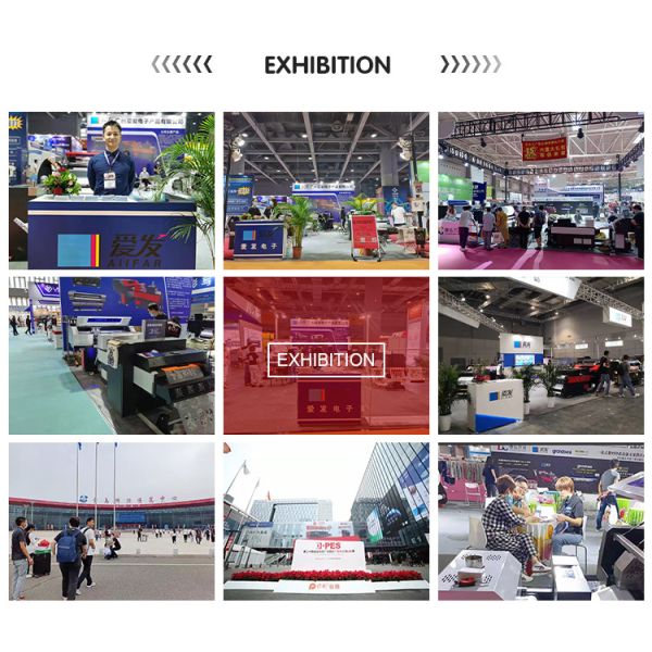 CMYK +W Color 40CM A2 DTF Printer With Spill Powder Machine