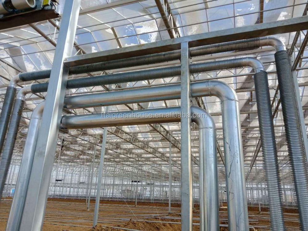 Smart Controlled Safe Glass Greenhouse for Vegetable Fruits Flowers Top Height 4.8m-6.8m