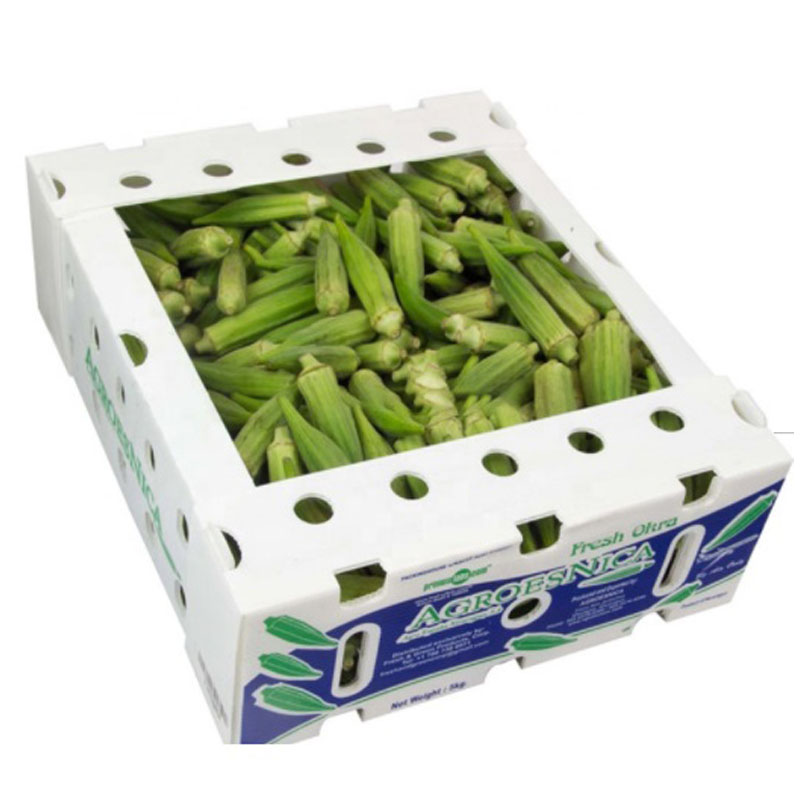 PP PE Mango Corrugated Box Polypropylene Corflute Storage Boxes