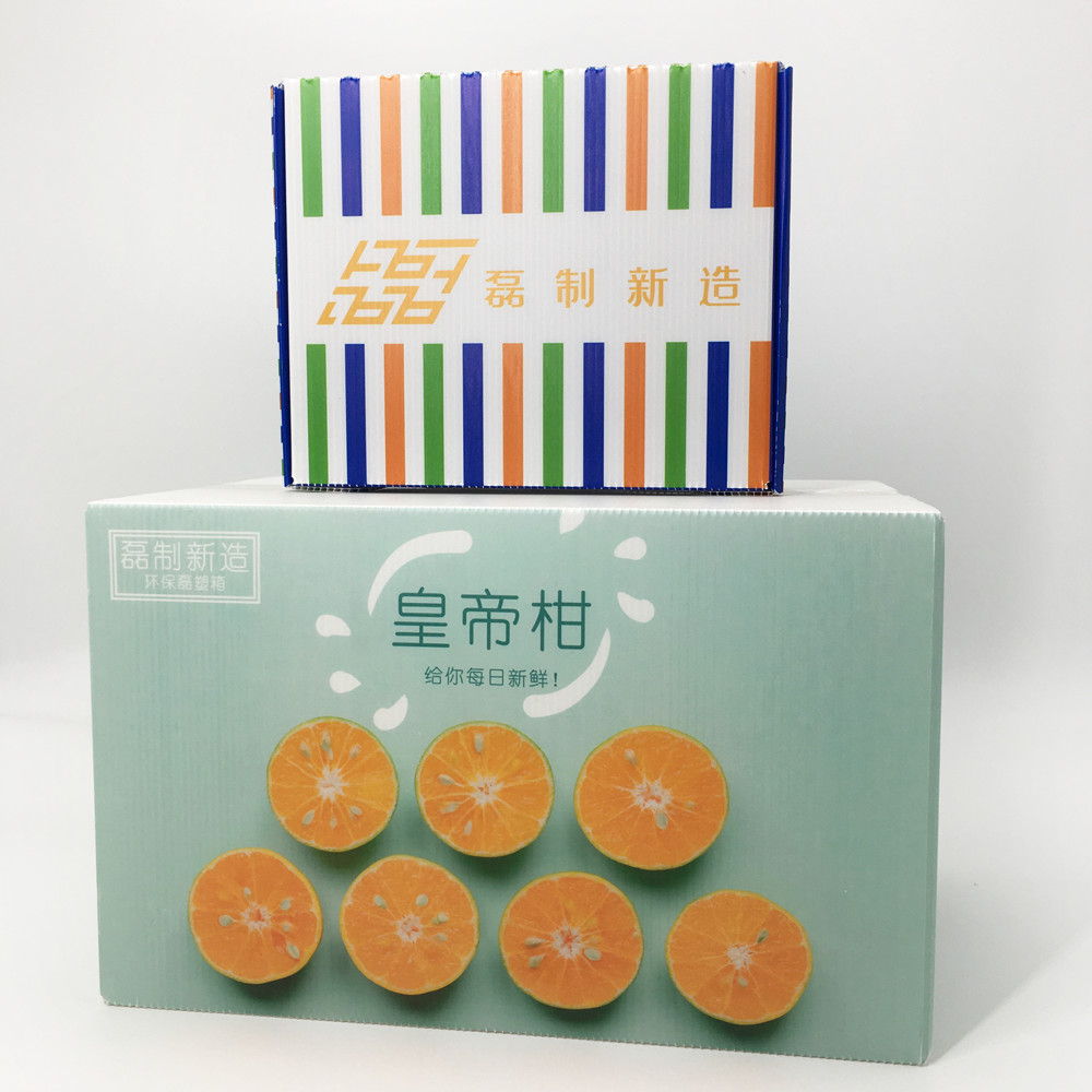 Corrugated Plastic Carton Packaging Agricultural Freshness Retain Food Grade Package Box