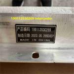 199112530269 Shacman Truck Parts Intercooler Assembly Shacman F3000 Truck Parts