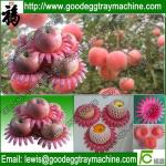 EPE Flower Petal product