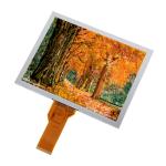 Industrial 8.0 Inch 800x600 BOE LCD Display