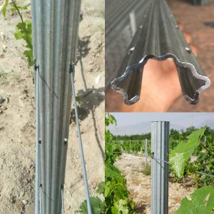 China 2.4m 2.5m Galvanised Steel Vineyard Posts Substitute Of Cement Posts And Wooden Posts on sale
