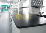 Biology Chemistry Lab Countertops Epoxy Resin Slab Size 2480 * 1530 * 25mm