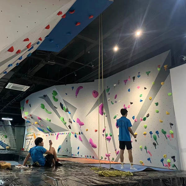 Multicolor Indoor Climbing Wall For Adults Adjustable ISO9001 Approved