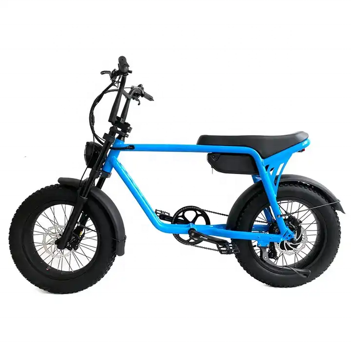 Adults Electric Fat Tire Bike 48V 500W 750W With 40km/H Max Speed Lithium Battery