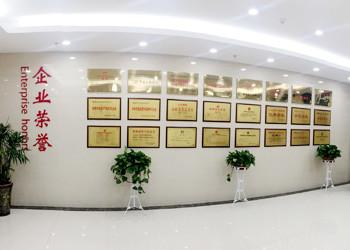 Anhui Hongshi Optoelectronic High-tech Co.,Ltd