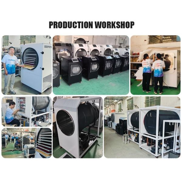 Fruit Milk Freeze Dryer Machine Small Vacuum Home Food Freeze Drying Dryer Equipment