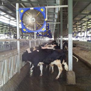 Wholesale Energy Saving and Industrial Fan with PMSM Motor for Cooling from china suppliers