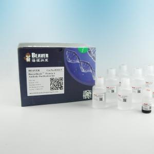 Wholesale Protein A Antibody Magnetic Beads Protein Purification 2μm 30 mg / mL 5 mL from china suppliers