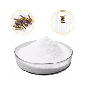 Wholesale Hot Melt Adhesive White DTF Powder Digital Transfer Powder 500g / 17.6oz For All Fabric from china suppliers