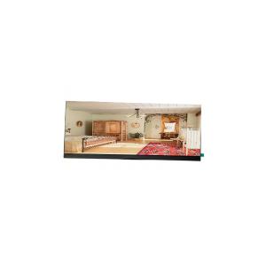 Wholesale High Quality 1920*540 28.6 inch P290IAN01.0 LCD monitor Parts from china suppliers