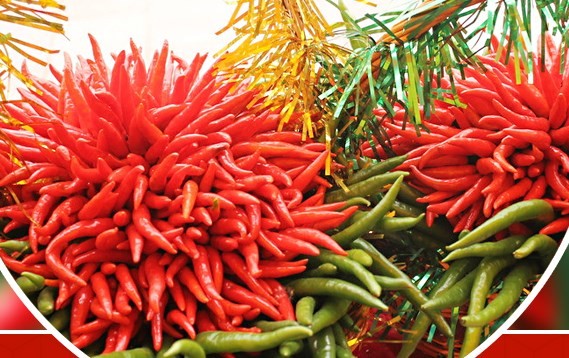 Grade A Dried Red Chili Pods Pungent Xinglong Dried Cayenne Pepper