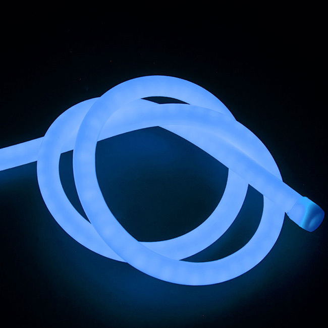 Addressable Circular 360° Neon Led Light For Festival Merchandising Item Type Neon Lights