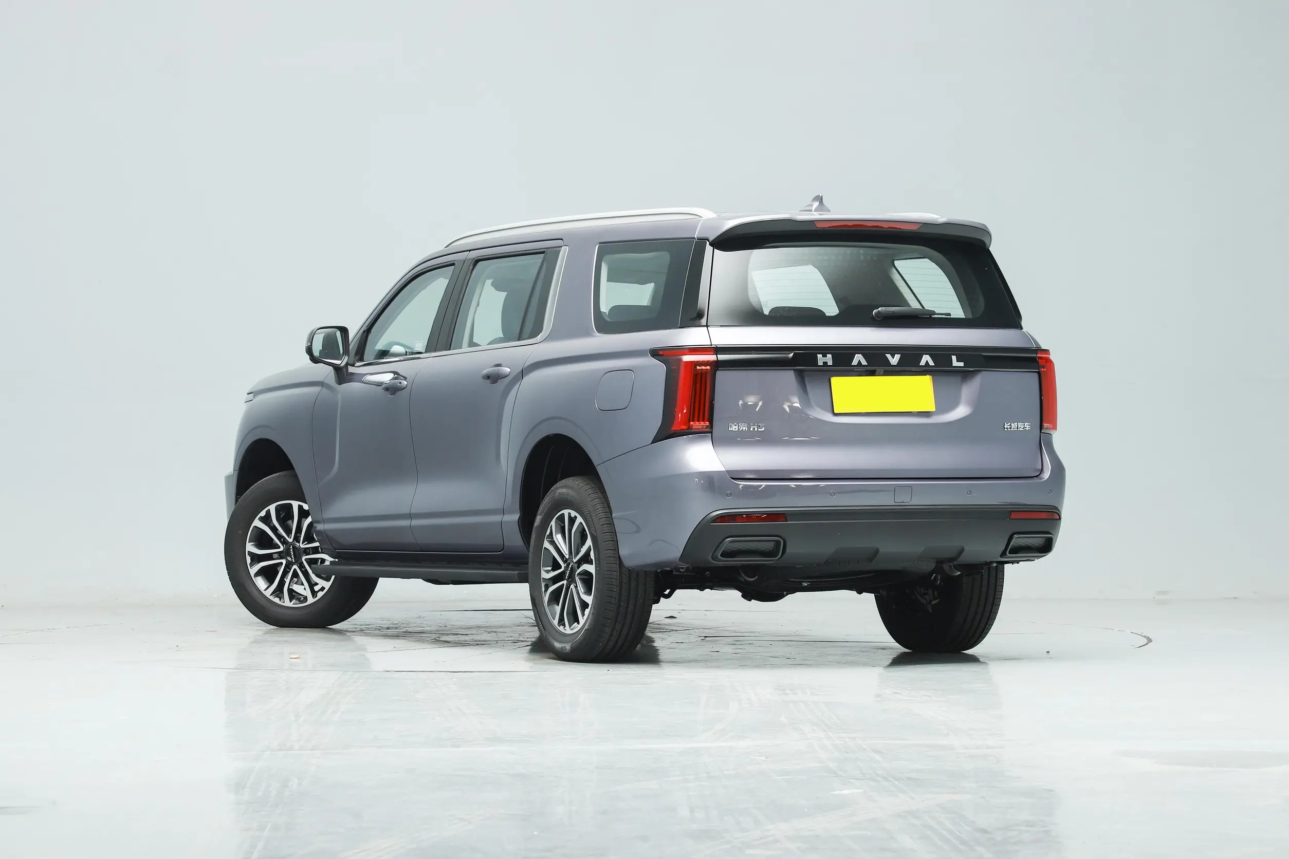 SUV 2023 Great Wall HAVAL H5 Electric Diesel Engine Leather Turbo Multi-function Automatic Tank 500 Car R17 LED Camera