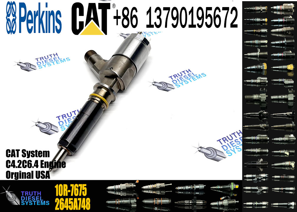 C4.4/C6.6 Engine Injector For CAT 326-4700 326-4756 326-4740 10R-7951 2645A717 10R-7675 32F61-00062 32F61-00014 32F61-00022