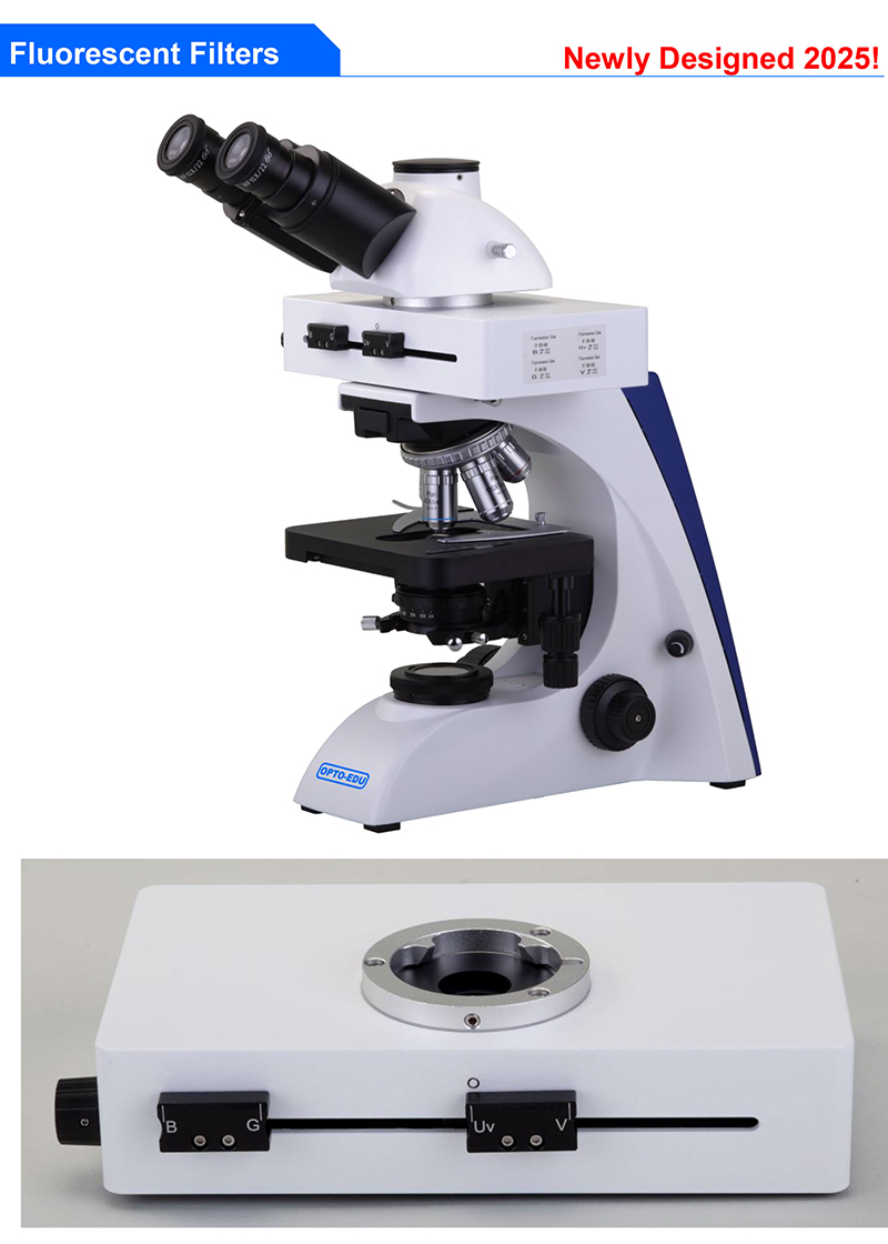 OPTO-EDU A16.2603-UL LED Fluorescent Light Microscopy 6V 30W Halogen Ultra LED Fluorescent Microscope
