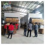 22.0 kW Veneer Board Sheet Drying Machine for Customer Requirements