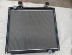 OE 752W06100-0080 752W06100-0081 712W06100-0103 Sinotruk Sitrak C7H MC11 Truck