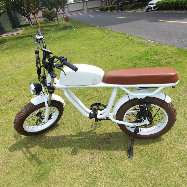 Vintage Moto Style Electric Bike 48V Battery 750W 1000W Motor 7 Speed 20" Tire