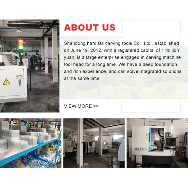 Arden Customizable Cemented Carbide Milling Cutter Lengthened Woodworking Trimming Knife for Engraving Machine OEM Support