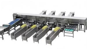 Wholesale Stainless Steel Poultry Chicken Egg Washing Machine Salted Duck Egg Cleaning Machine from china suppliers