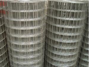 Wholesale 8mm 1 Inch By 1 Inch Electro Galvanised Welded Wire Mesh from china suppliers