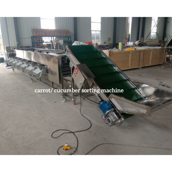 Carrot Sorting Machine, Carrot Grading Machine, Carrot Grader Sorter