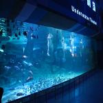 92% Transmission Clear Plastic Aquarium Acrylic Sheet 1220*2440mm