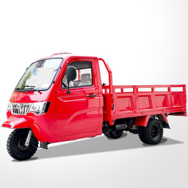 Gasoline Three Wheel Cargo Motorcycle 3 Wheel Motorized Tricycle Chinese Cargo